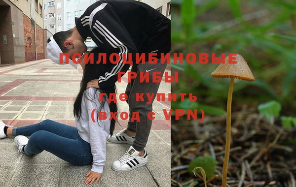 крисы Белокуриха