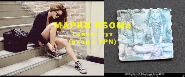 крисы Белокуриха